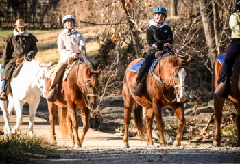 School group goes on a horseback trail ride as an Outdoor Education program activity add-on