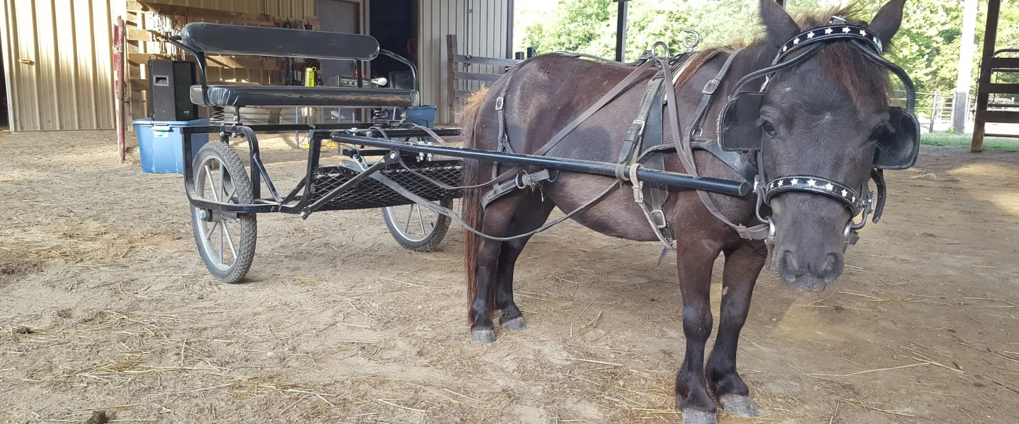 cupcake cart ride YMCA Trout Lodge