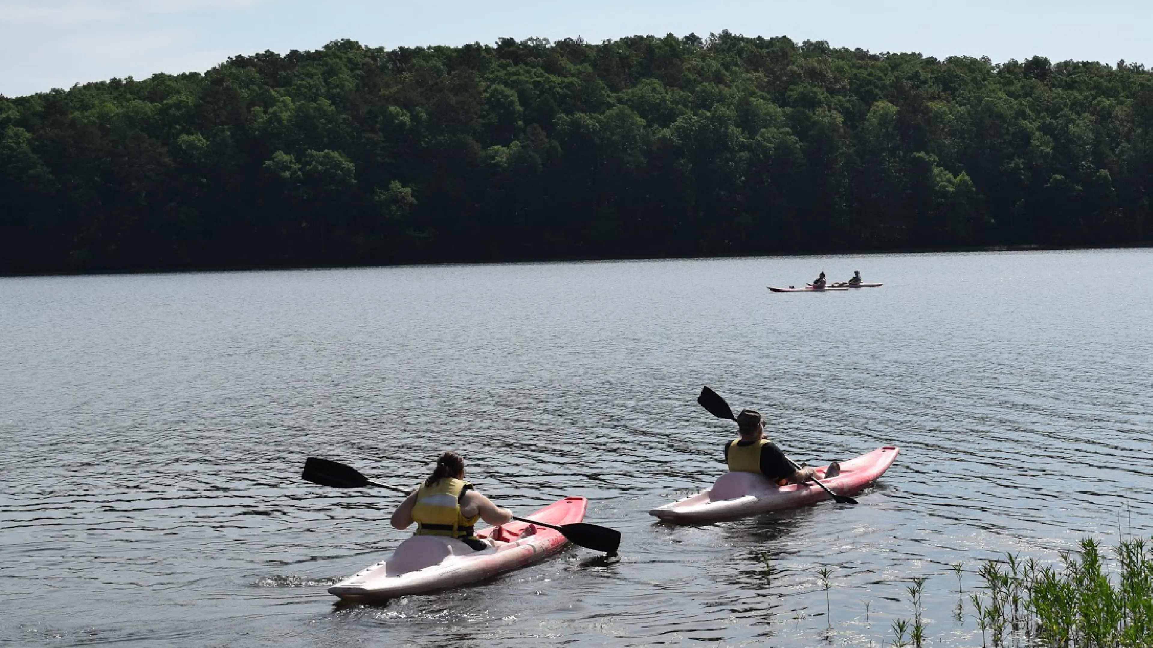 Paddle boarding on the lake